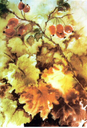 osz.jpg (33988 bytes)