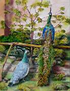 Pava_muticus_selyem_36x28_cm.jpg
