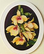 Orchidea 06 Dendrobium.JPG