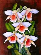 Orchidea 19 Dendrobium.jpg