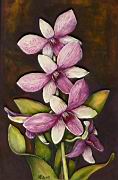 Orchidea12 Leptotes bikolor.JPG