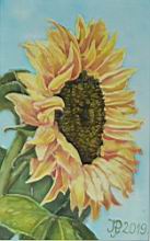 Napfenyben, selyem, 23,5x15 cm.JPG