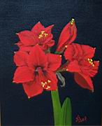 kraftili amaryllis piros 2007.JPG