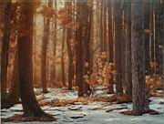 B 2  Landscape 45x60.jpg