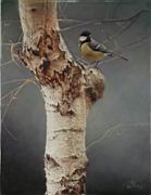 F 2 Cinege  50x40.jpg