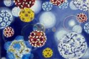 silkbio_002.jpg
